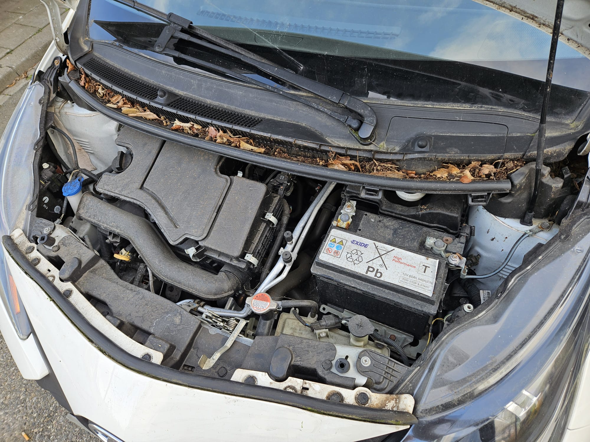 Showroomklaar pakket in roosendaal , autowassen roosendaal , auto wassen bij DeBruijnCompany , Auto cleaning , Auto detailing  in roosendaal